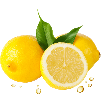 pngimg.com - lemon_PNG25201